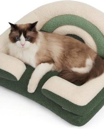 Foam Cat Bed Small Size, Washable Pet Bed for Cats and Dogs, Soft Teddy Plush with Rainbow Design (Green)