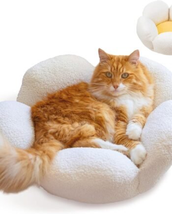 Washable Flower Shaped Round Cat Bed for Indoor Cats, Plush, White